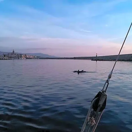 Al 32 Y 3 Alghero